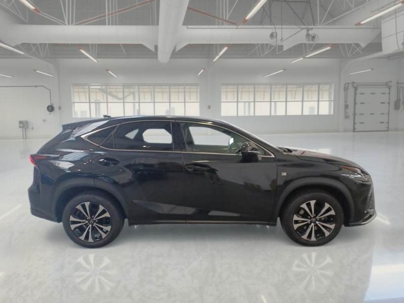Lexus NX II (2021 - ) image