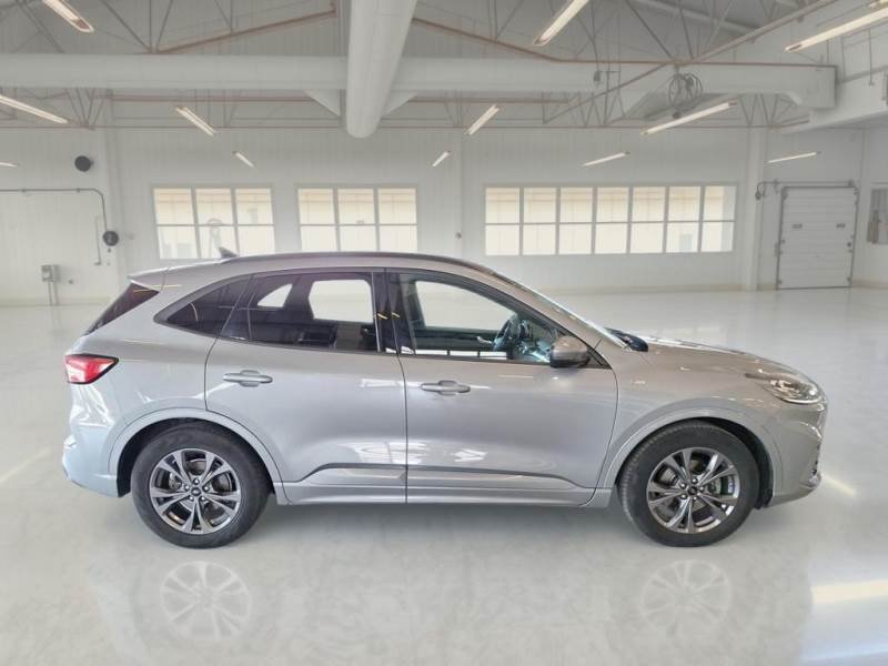 Ford Kuga III (2019 - ) image