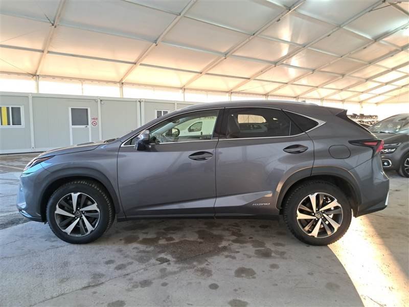 Lexus NX I (2014 - 2021) image
