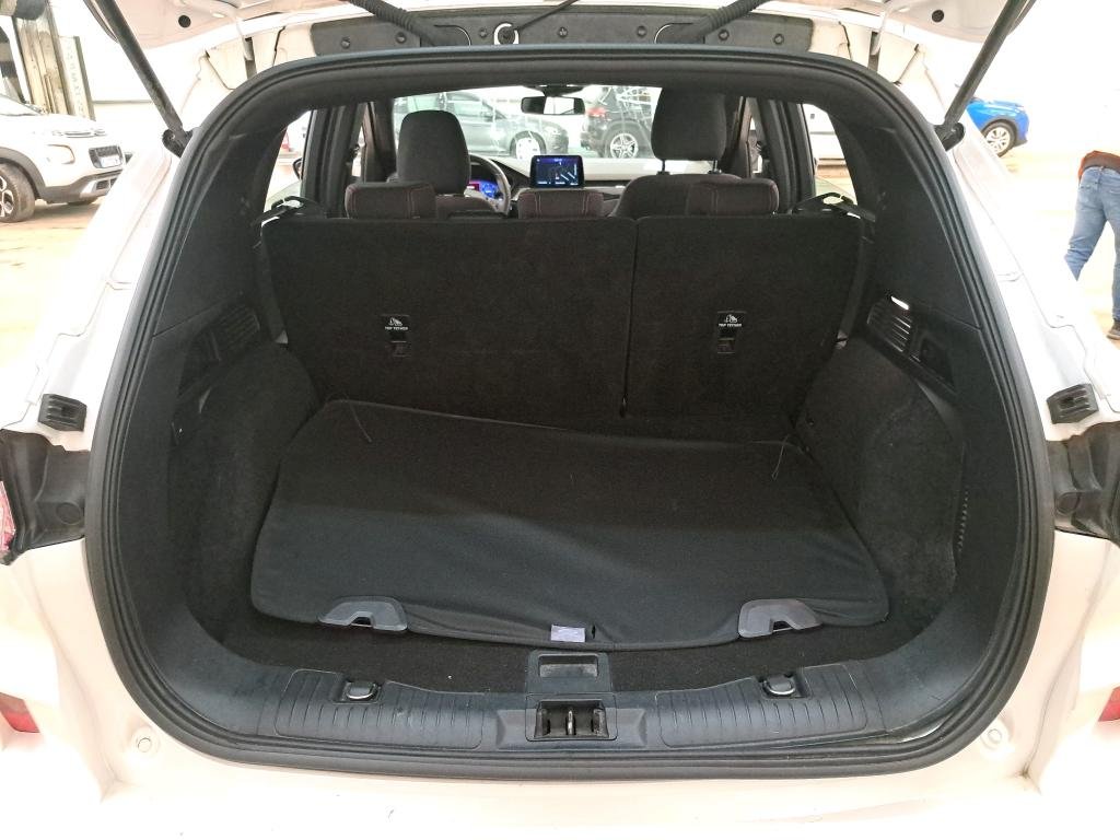 Ford Kuga III (2019 - ) image