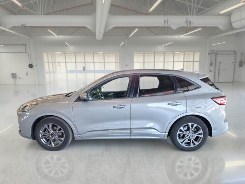 Ford Kuga III (2019 - ) image