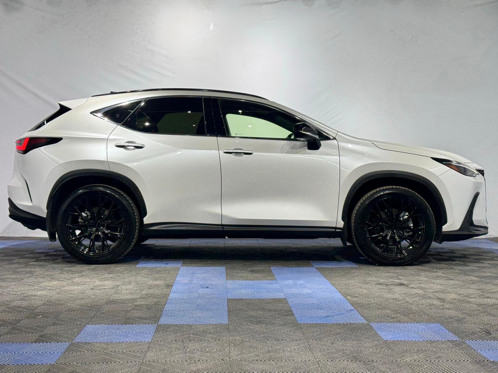 Lexus NX II (2021 - ) image