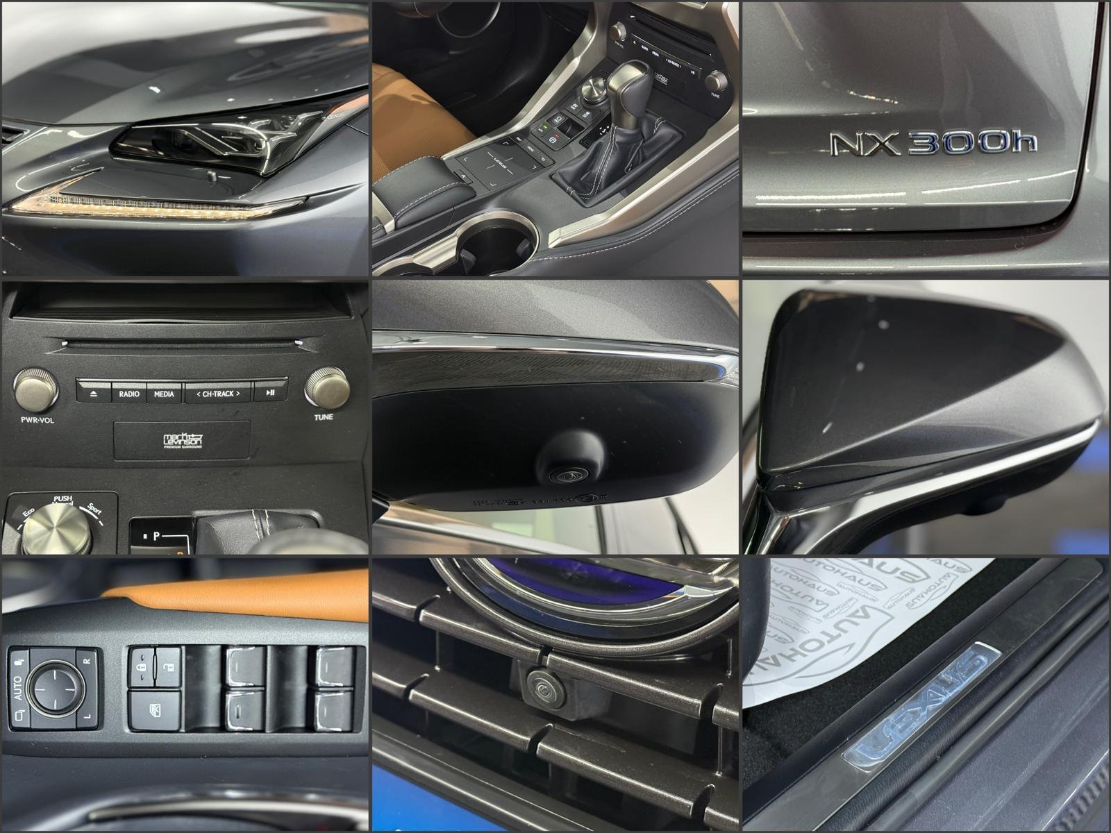 Lexus NX I (2014 - 2021) image