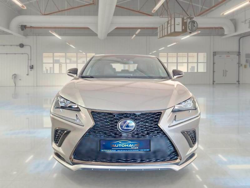 Lexus NX I (2014 - 2021) image