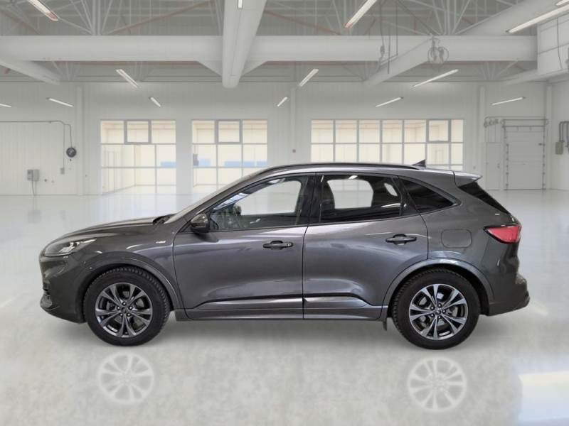 Ford Kuga III (2019 - ) image