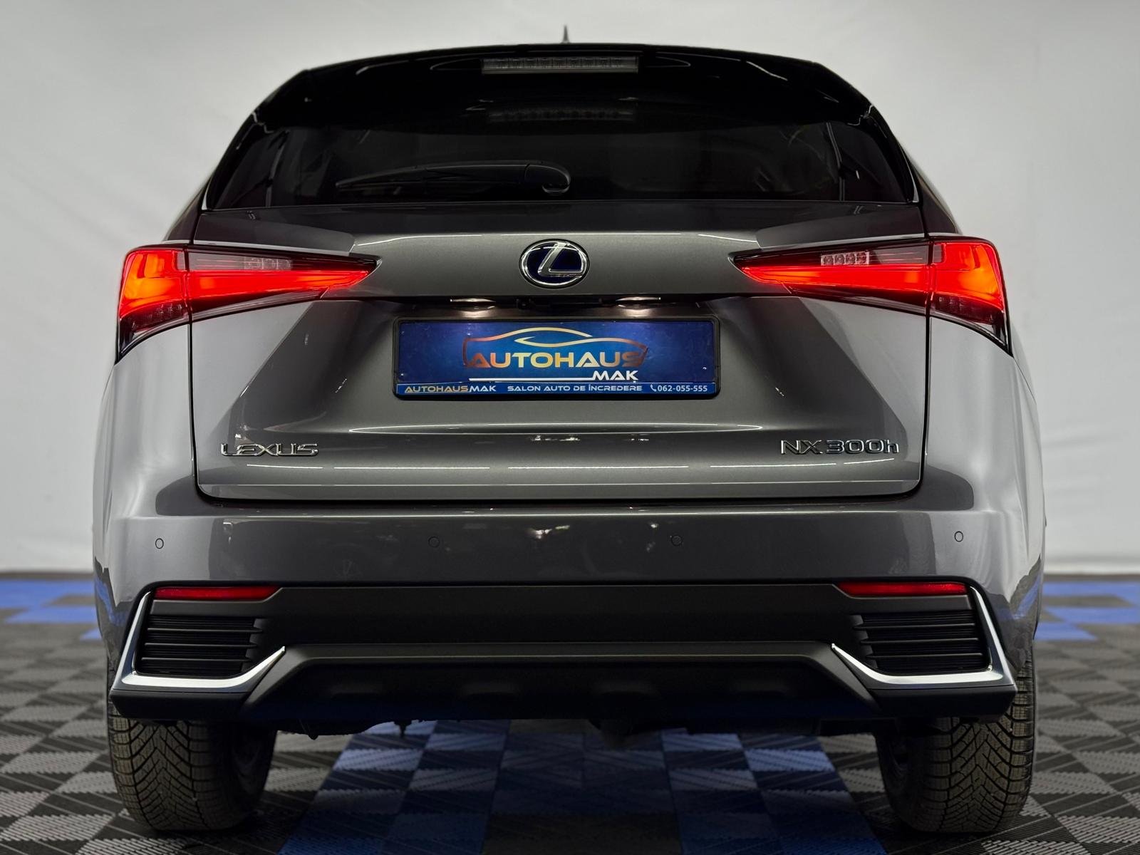 Lexus NX I (2014 - 2021) image