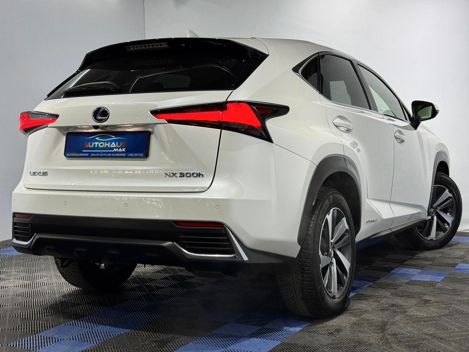 Lexus NX I (2014 - 2021) image