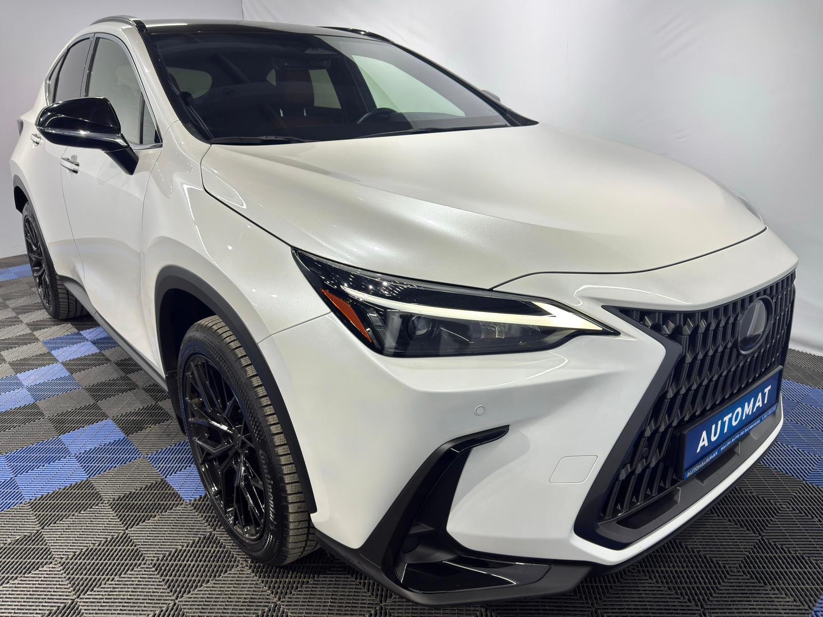 Lexus NX II (2021 - ) image