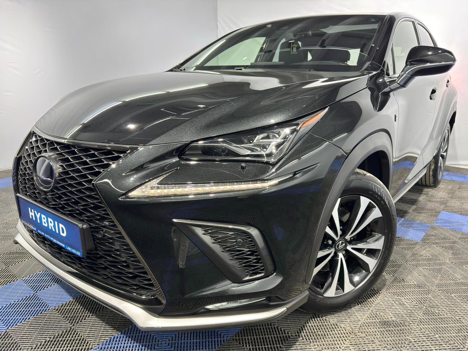 Lexus NX II (2021 - ) image