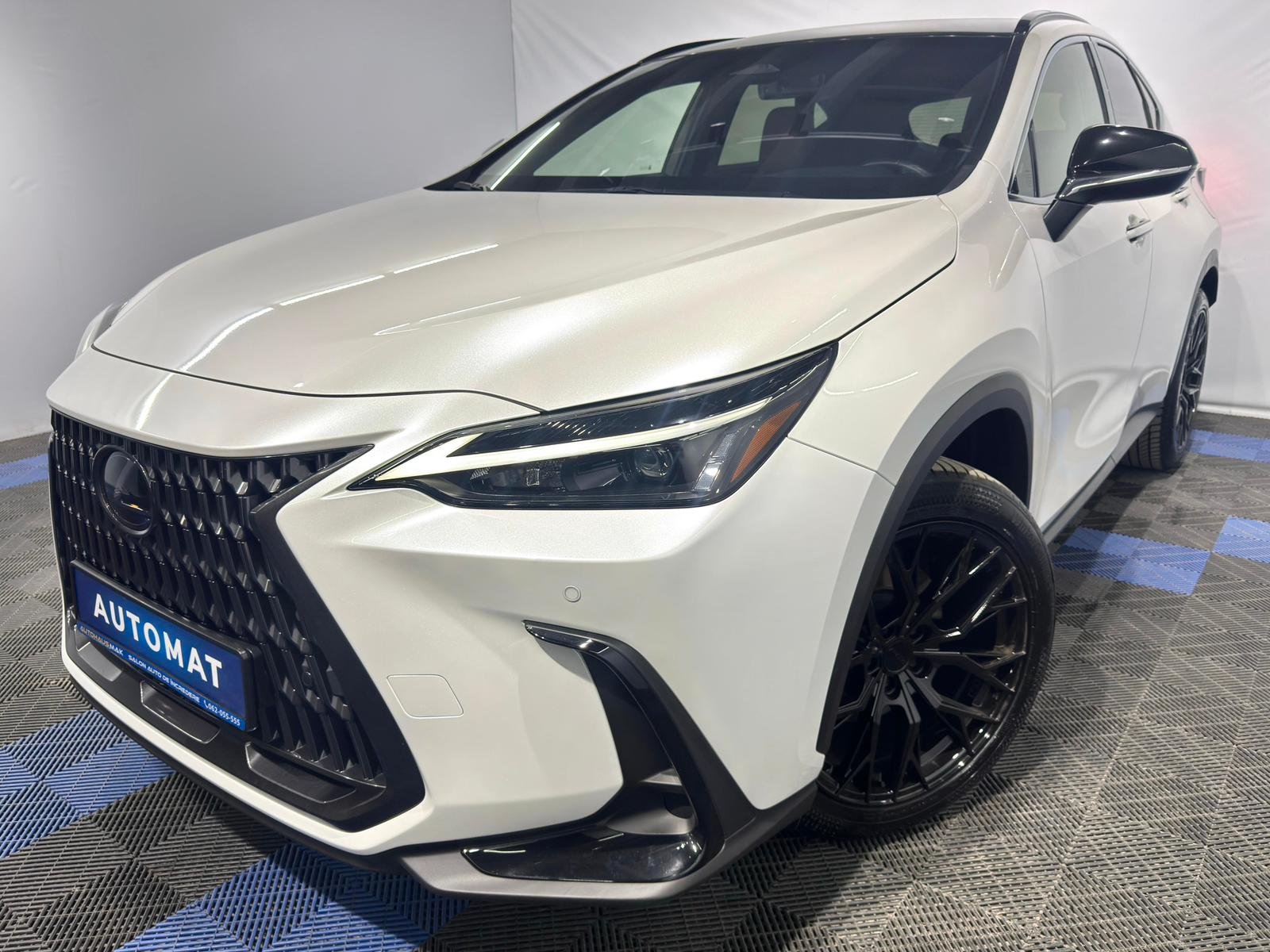 Lexus NX II (2021 - ) image
