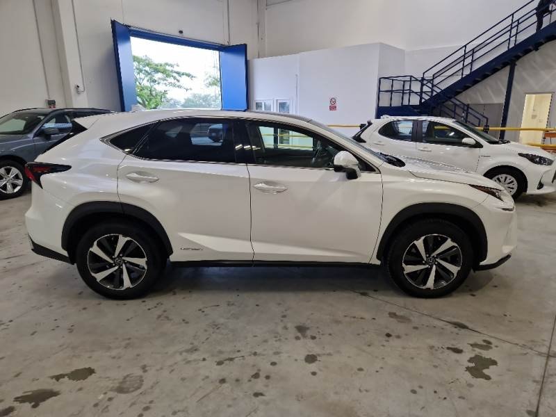 Lexus NX I (2014 - 2021) image