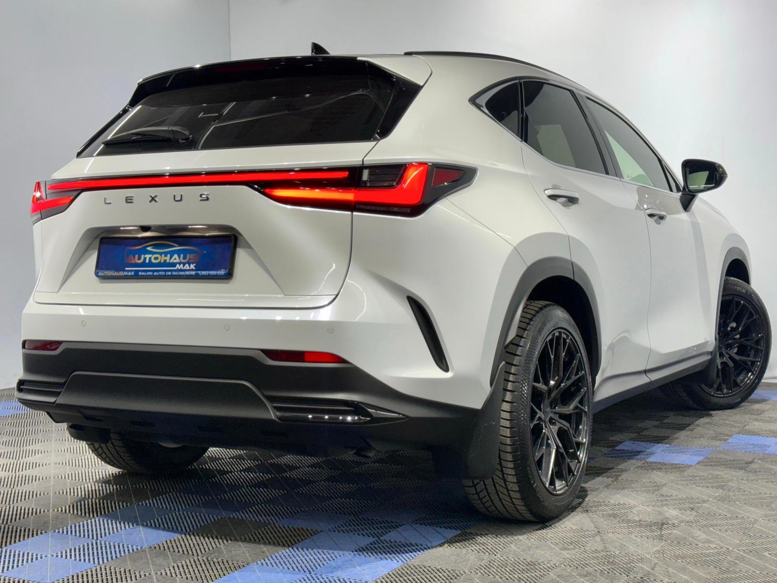 Lexus NX II (2021 - ) image