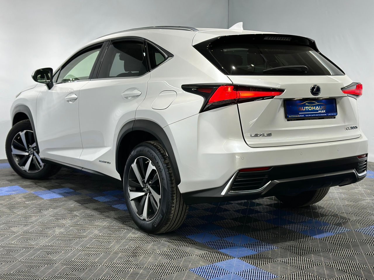 Lexus NX I (2014 - 2021) image