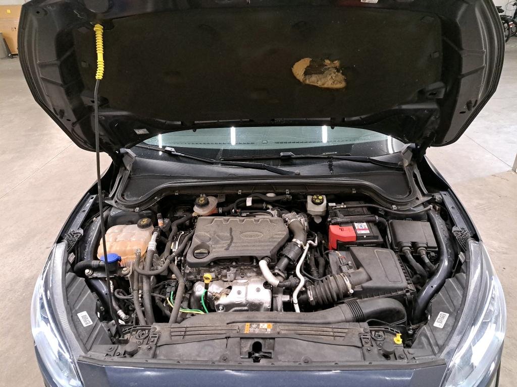 Ford Focus IV (2018 - ) image