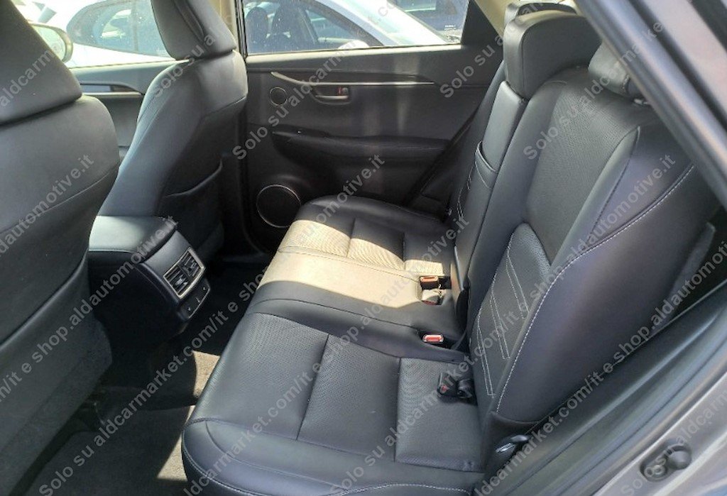 Lexus NX I (2014 - 2021) image