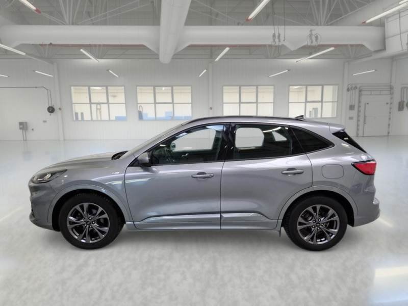Ford Kuga III (2019 - ) image