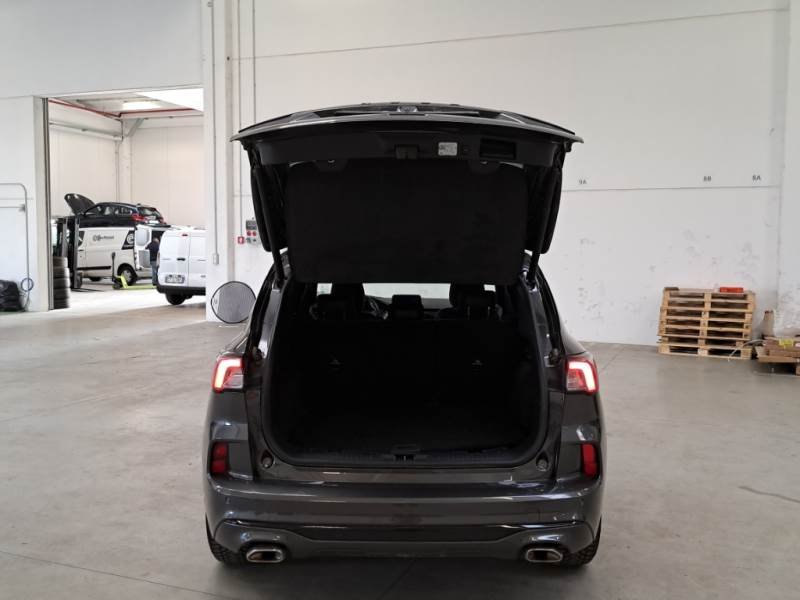 Ford Kuga III (2019 - ) image