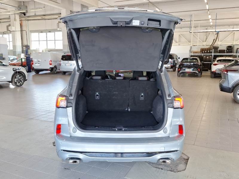 Ford Kuga III (2019 - ) image