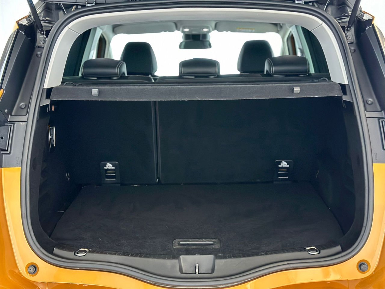 Renault Scenic IV (2016 - ) image