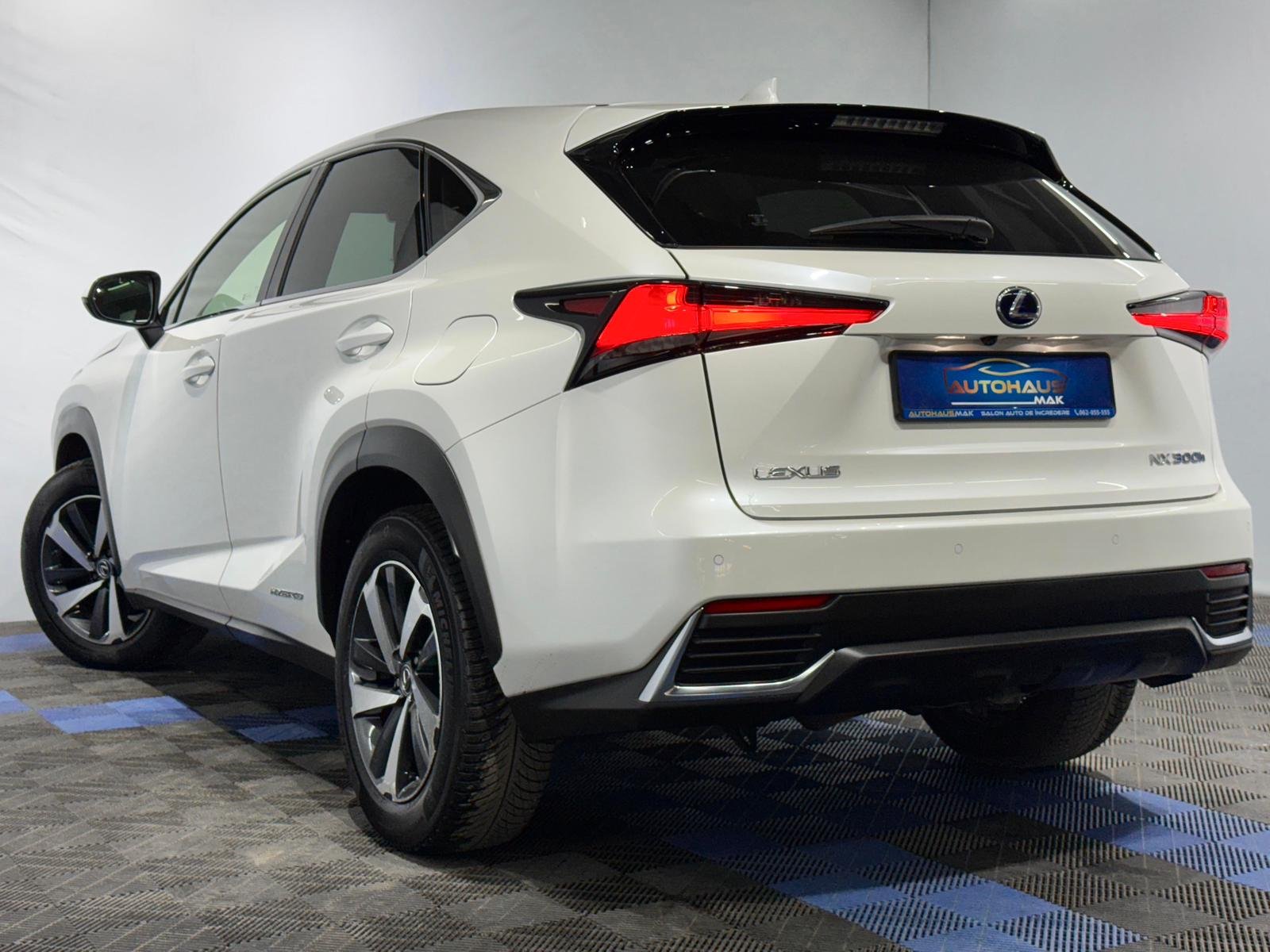 Lexus NX I (2014 - 2021) image