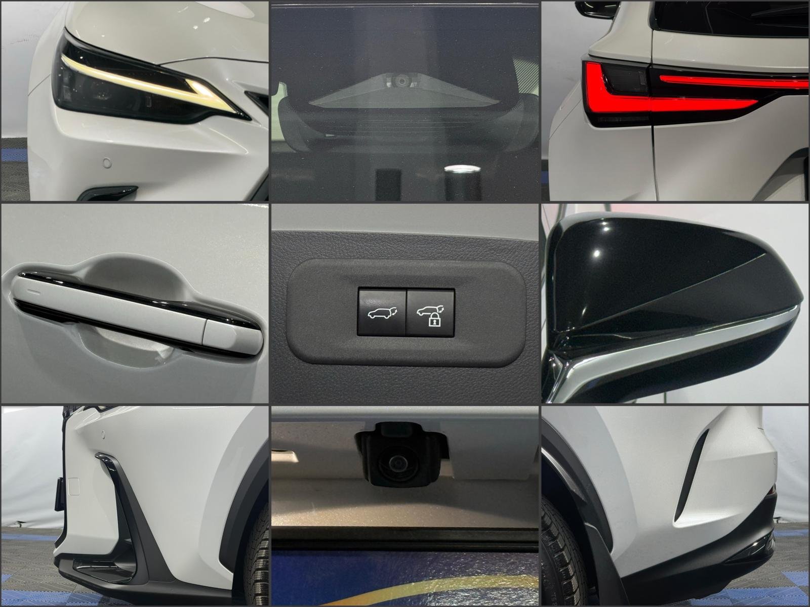 Lexus NX II (2021 - ) image