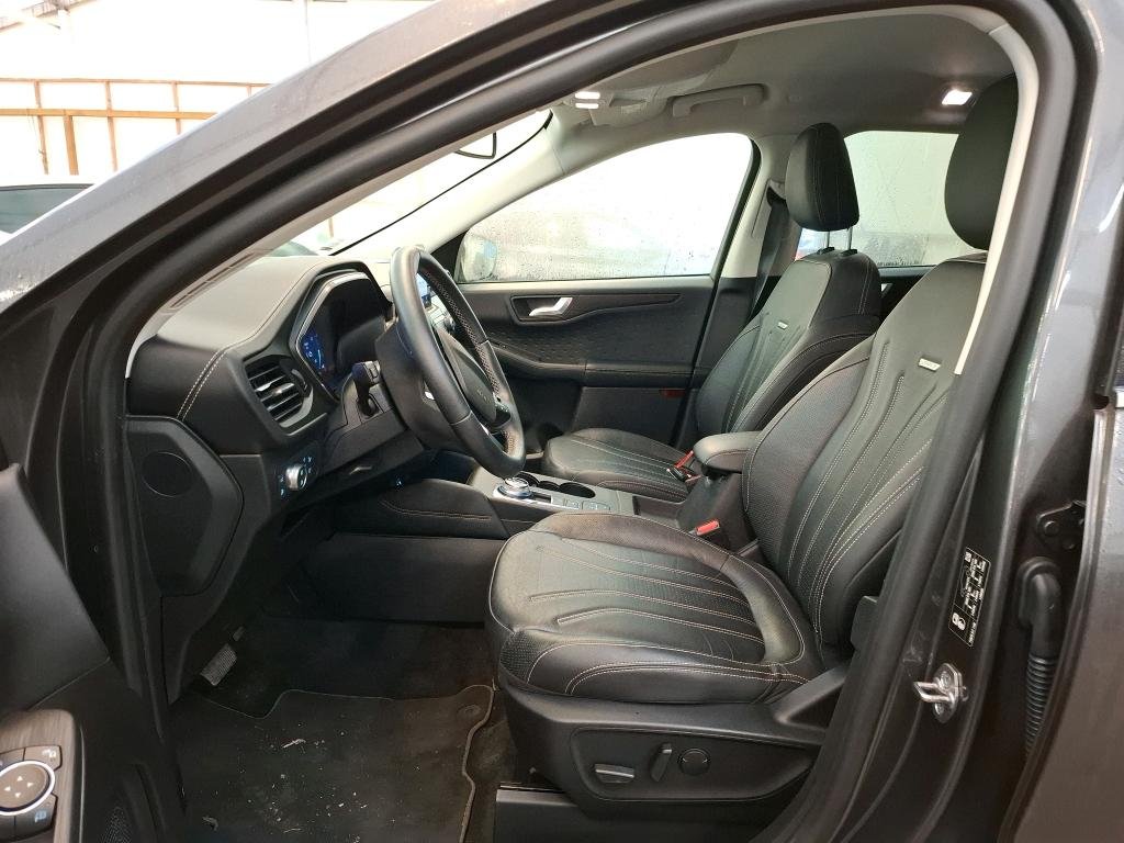 Ford Kuga III (2019 - ) image