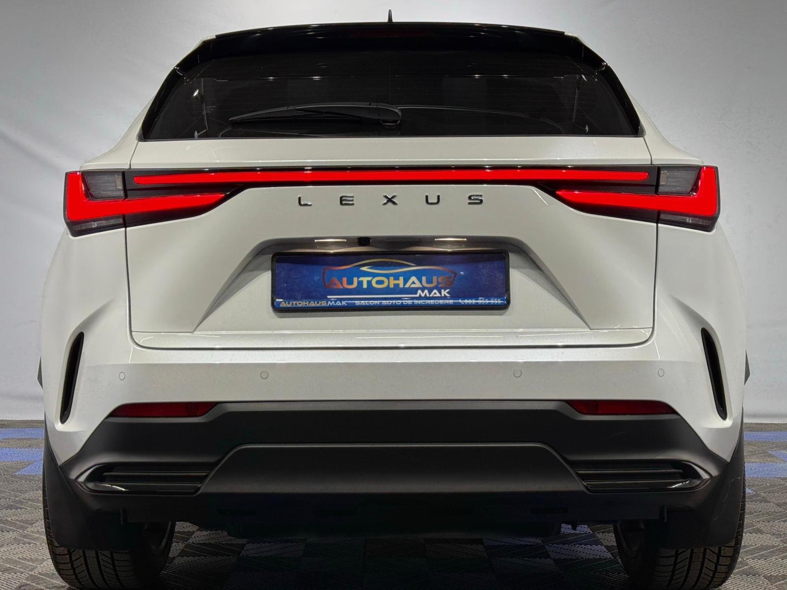 Lexus NX II (2021 - ) image