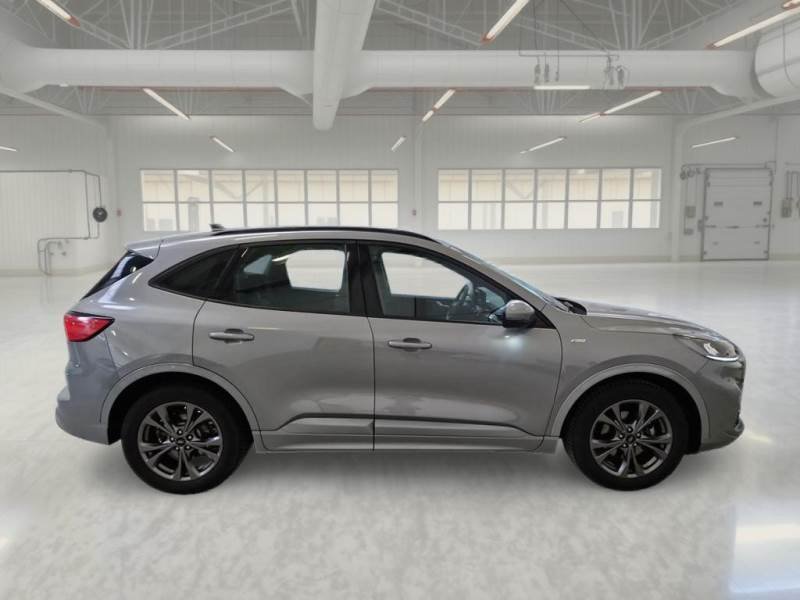 Ford Kuga III (2019 - ) image