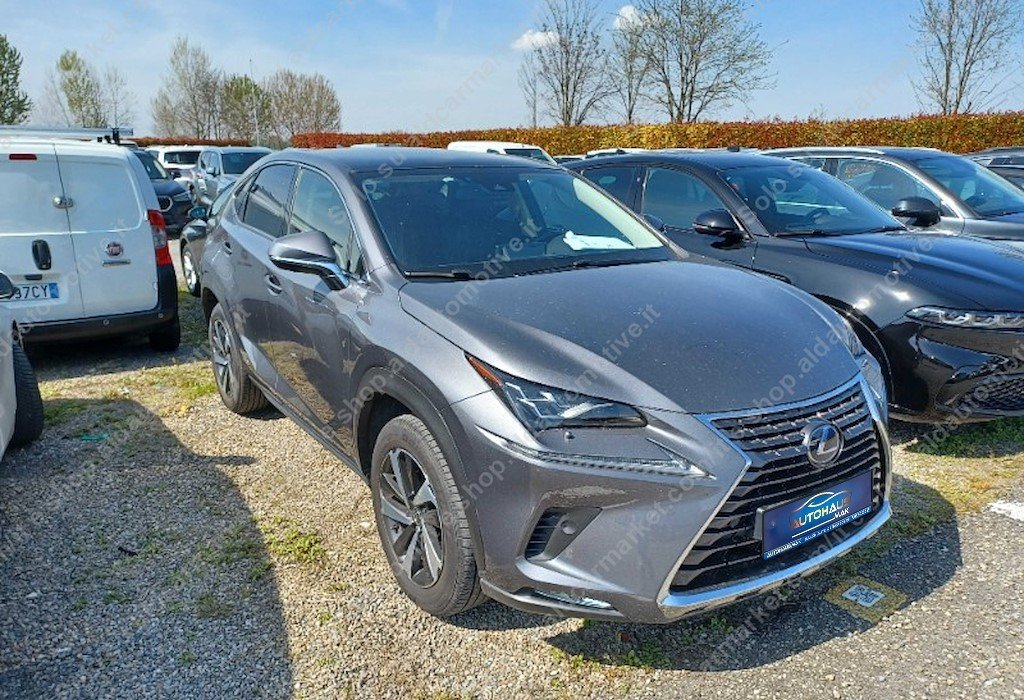 Lexus NX I (2014 - 2021) image